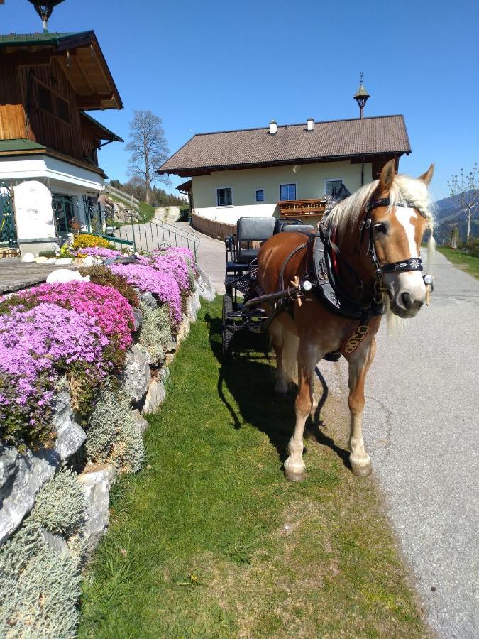 Haus Bucher Wagrain Eksteriør billede